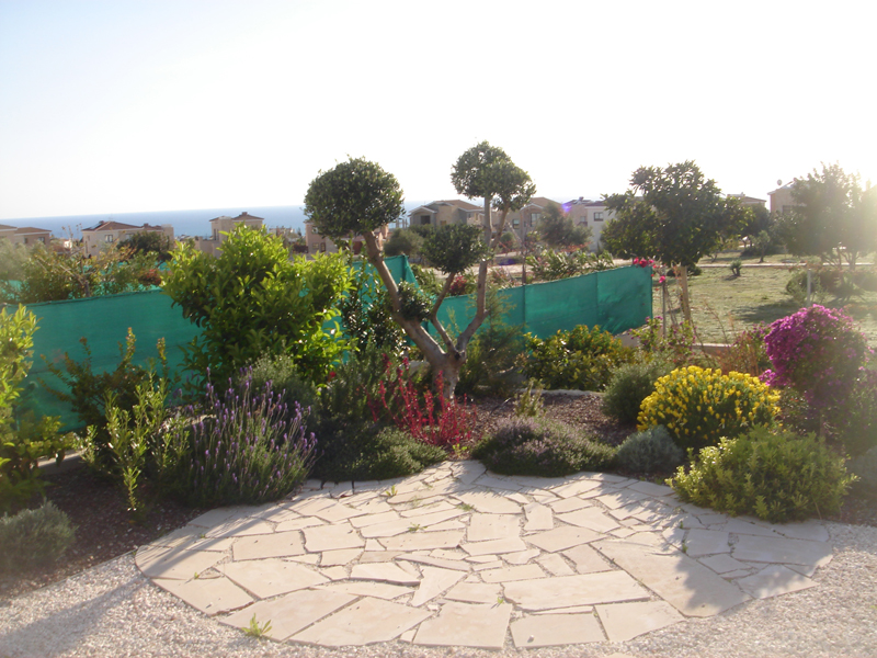 Green Forest - Cyprus' leading landscaping company - mediterraneangardens 23 2