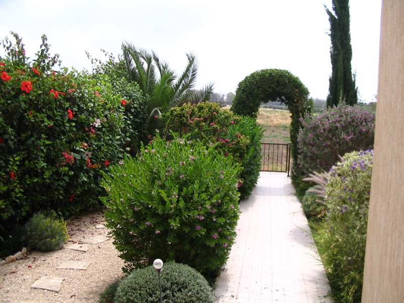 Green Forest - Cyprus' leading landscaping company - mediterraneangardens 3 1
