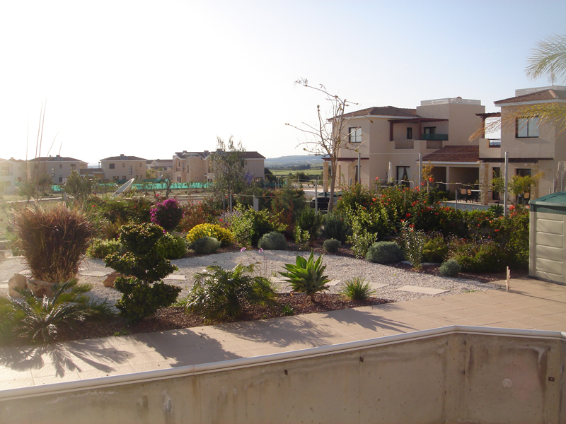 Green Forest - Cyprus' leading landscaping company - mediterraneangardens 32 2