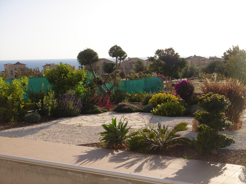 Green Forest - Cyprus' leading landscaping company - mediterraneangardens 33 2
