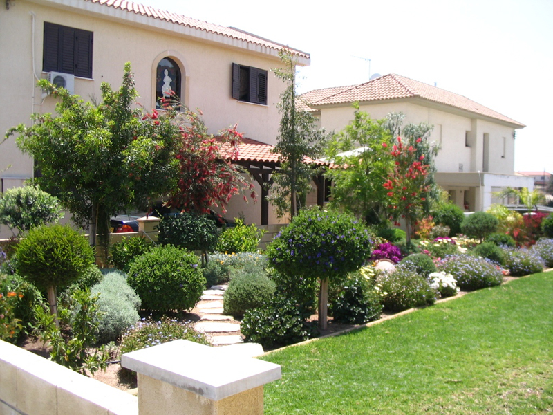 Green Forest - Cyprus' leading landscaping company - mediterraneangardens 35 2