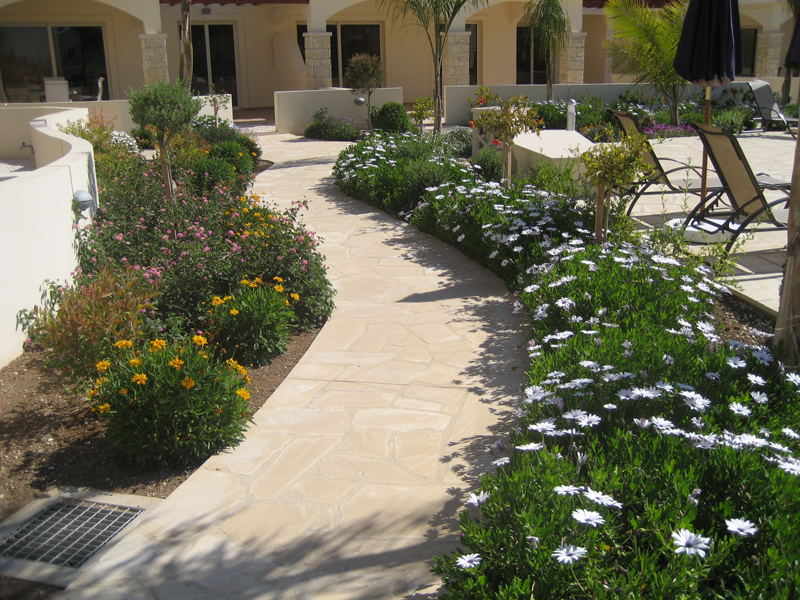 Green Forest - Cyprus' leading landscaping company - mediterraneangardens 39 2