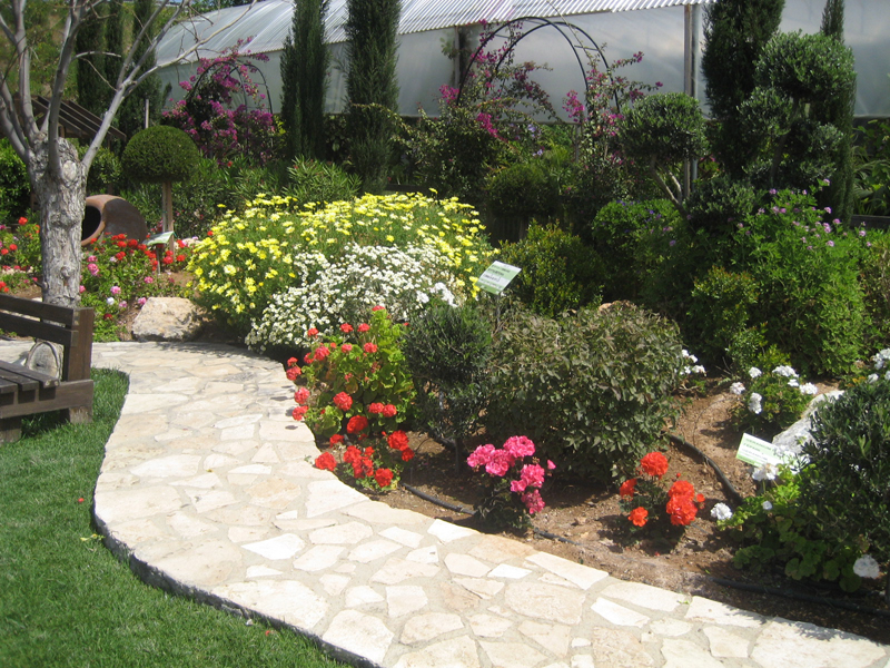 Green Forest - Cyprus' leading landscaping company - mediterraneangardens 4 1