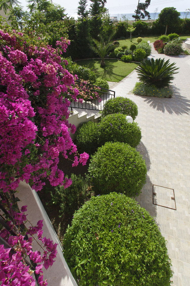 Green Forest - Cyprus' leading landscaping company - mediterraneangardens 41 2