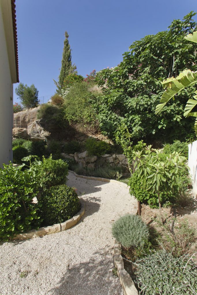 Green Forest - Cyprus' leading landscaping company - mediterraneangardens 42