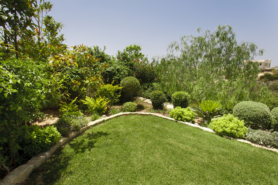 Green Forest - Cyprus' leading landscaping company - mediterraneangardens 48 1