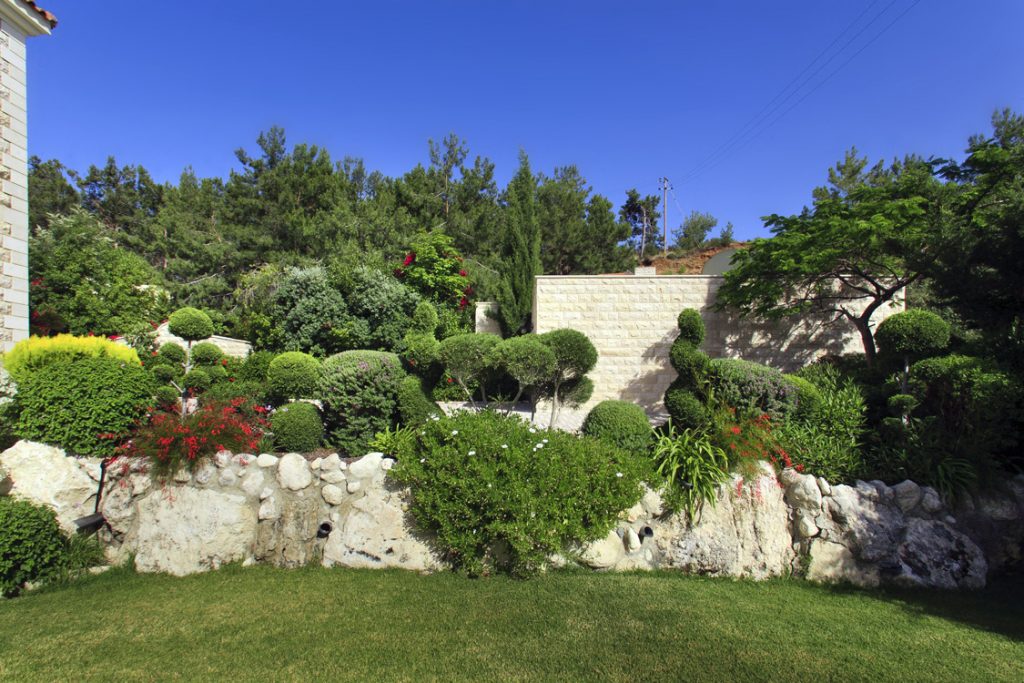 Green Forest - Cyprus' leading landscaping company - mediterraneangardens 50 2