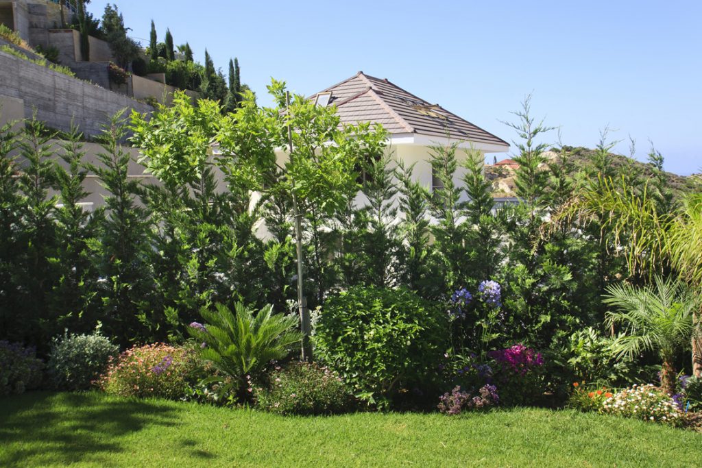 Green Forest - Cyprus' leading landscaping company - mediterraneangardens 51 2