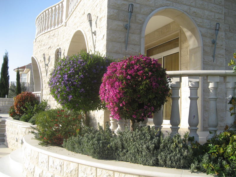 Green Forest - Cyprus' leading landscaping company - mediterraneangardens 53 2