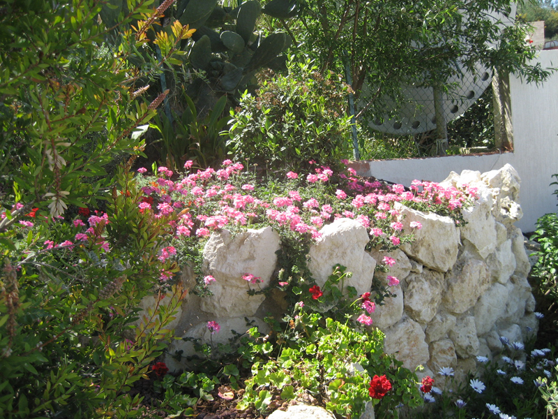 Green Forest - Cyprus' leading landscaping company - mediterraneangardens 54 2