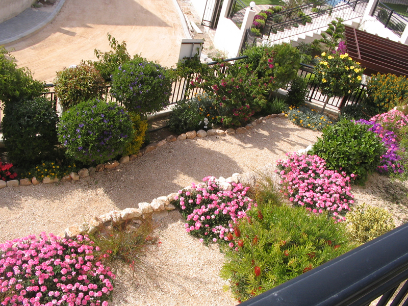 Green Forest - Cyprus' leading landscaping company - mediterraneangardens 56