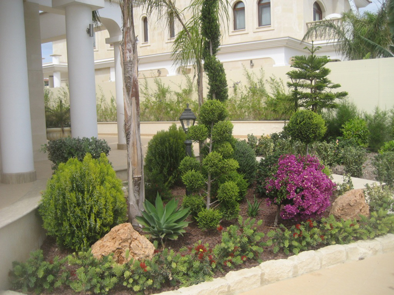 Green Forest - Cyprus' leading landscaping company - mediterraneangardens 57 1