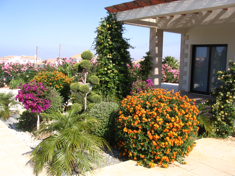Green Forest - Cyprus' leading landscaping company - mediterraneangardens 59 2