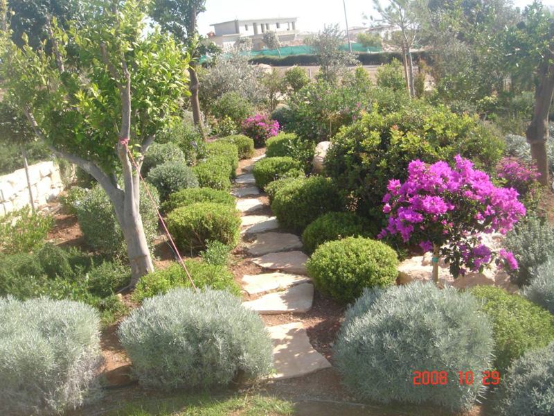 Green Forest - Cyprus' leading landscaping company - mediterraneangardens 62 1