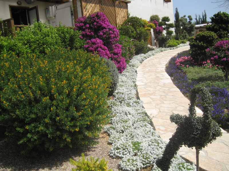Green Forest - Cyprus' leading landscaping company - mediterraneangardens 65 1