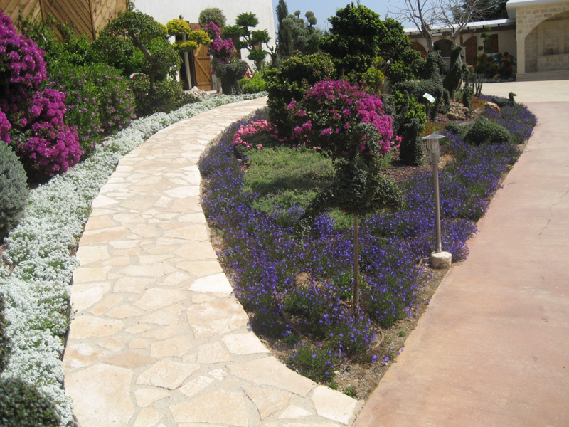 Green Forest - Cyprus' leading landscaping company - mediterraneangardens 66 2