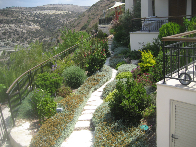 Green Forest - Cyprus' leading landscaping company - mediterraneangardens 68 2