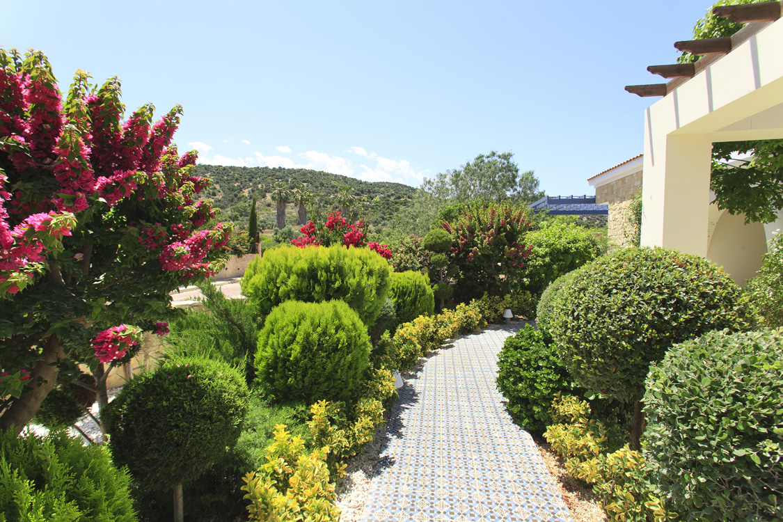 Green Forest - Cyprus' leading landscaping company - mediterraneangardens 7 2