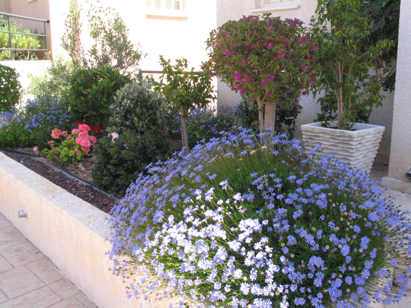 Green Forest - Cyprus' leading landscaping company - mediterraneangardens 72 2