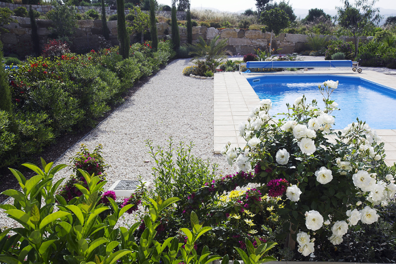 Green Forest - Cyprus' leading landscaping company - mediterraneangardens 77 2