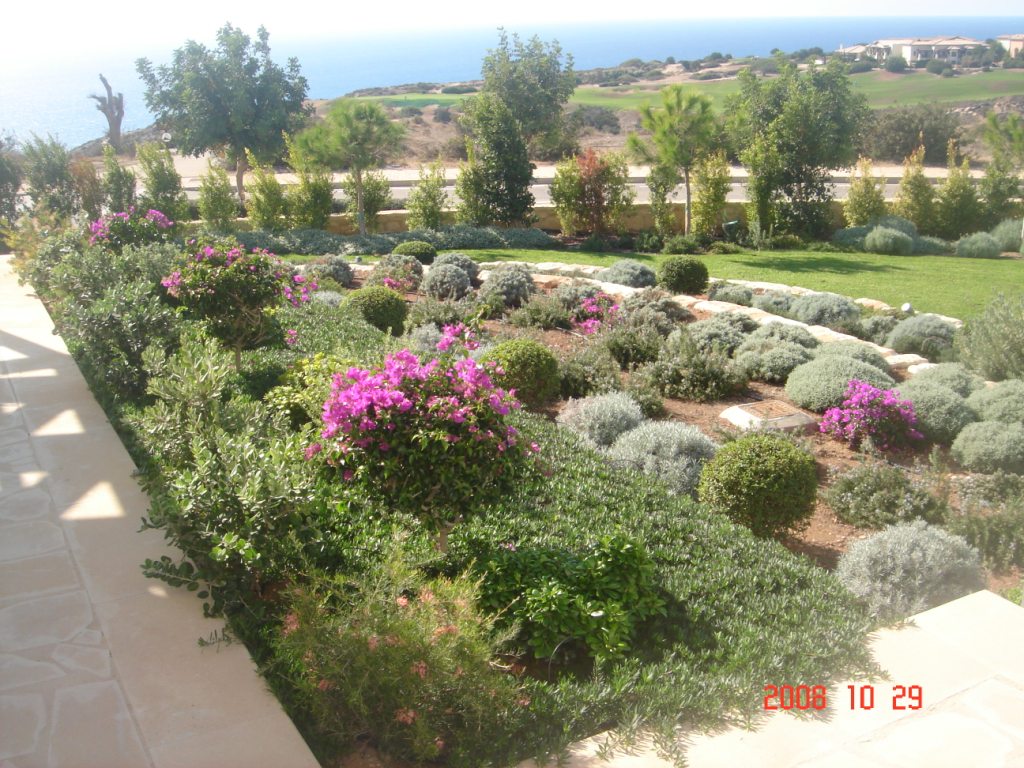 Green Forest - Cyprus' leading landscaping company - mediterraneangardens 8