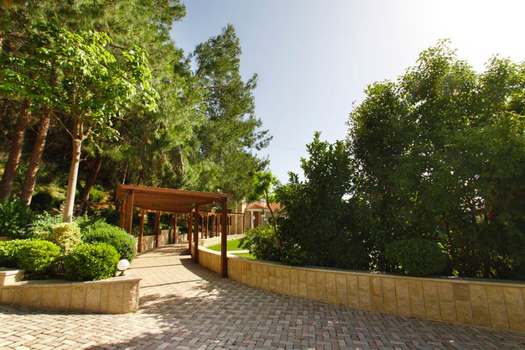 Green Forest - Cyprus' leading landscaping company - patio 13 2