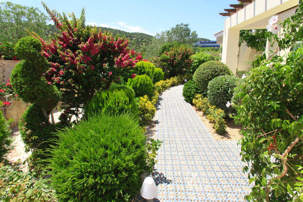 Green Forest - Cyprus' leading landscaping company - patio 4