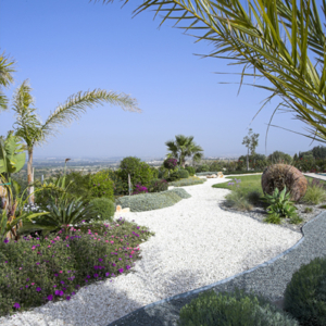Green Forest - Cyprus' leading landscaping company - pebblesgravels 1 2