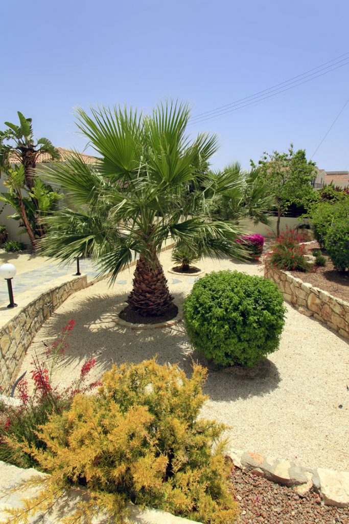 Green Forest - Cyprus' leading landscaping company - pebblesgravels 13 2