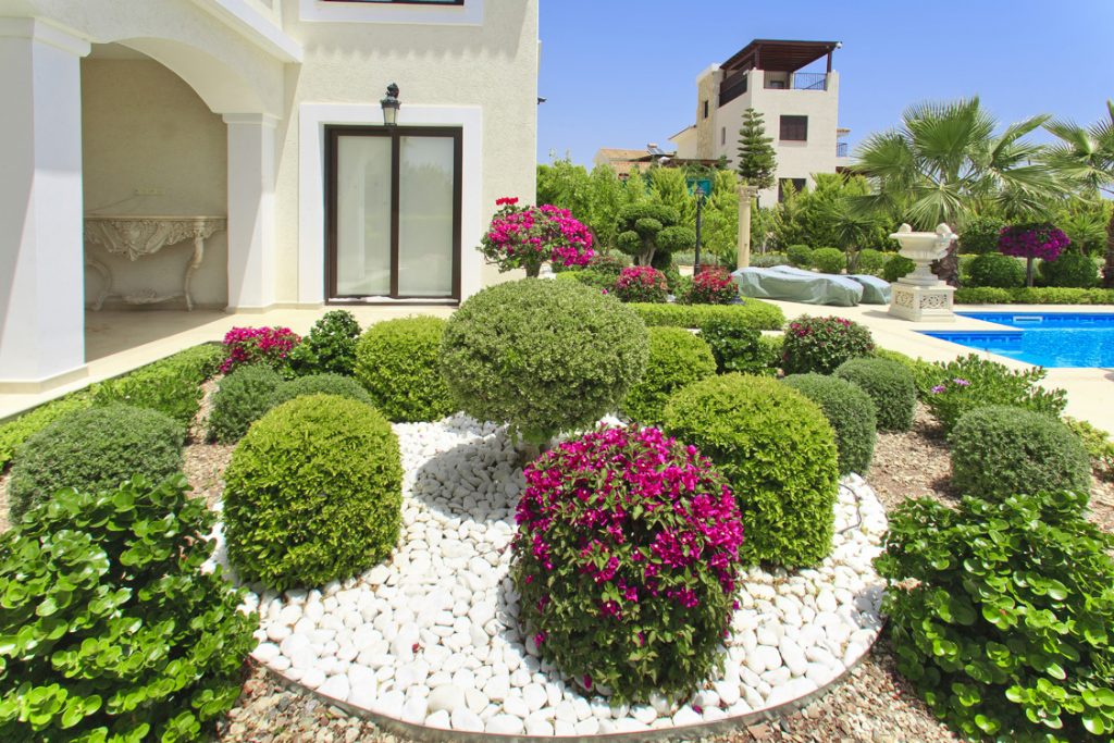 Green Forest - Cyprus' leading landscaping company - pebblesgravels 20
