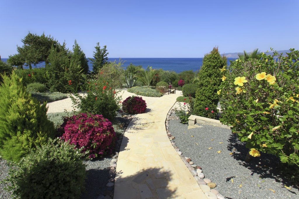 Green Forest - Cyprus' leading landscaping company - pebblesgravels 26
