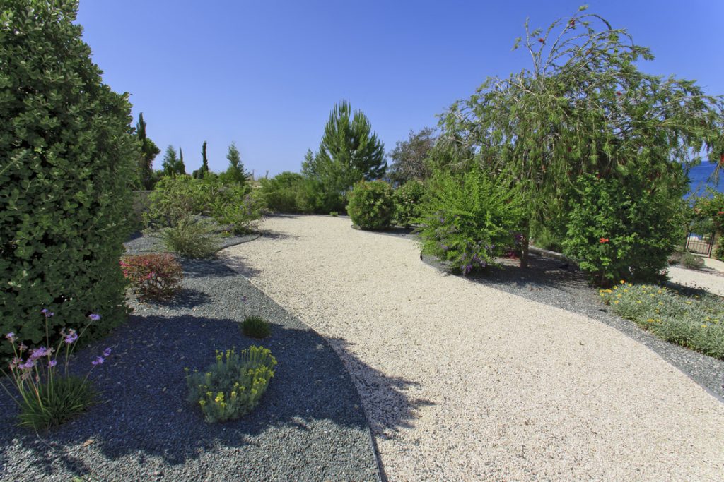 Green Forest - Cyprus' leading landscaping company - pebblesgravels 27 2