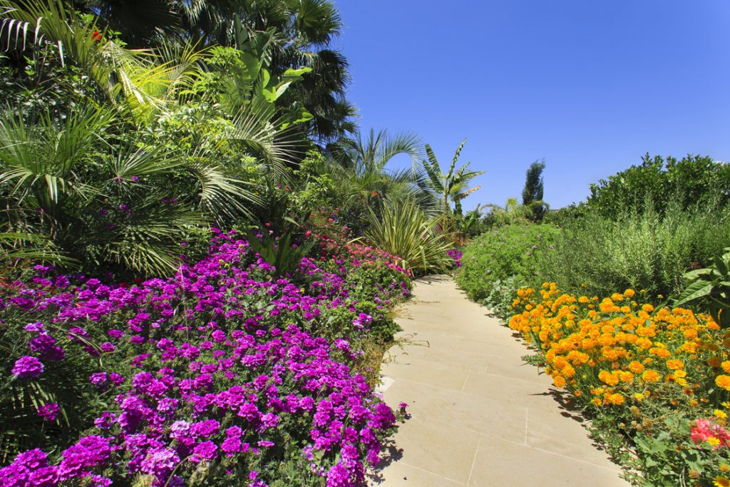 Green Forest - Cyprus' leading landscaping company - perennialsplants 20 1