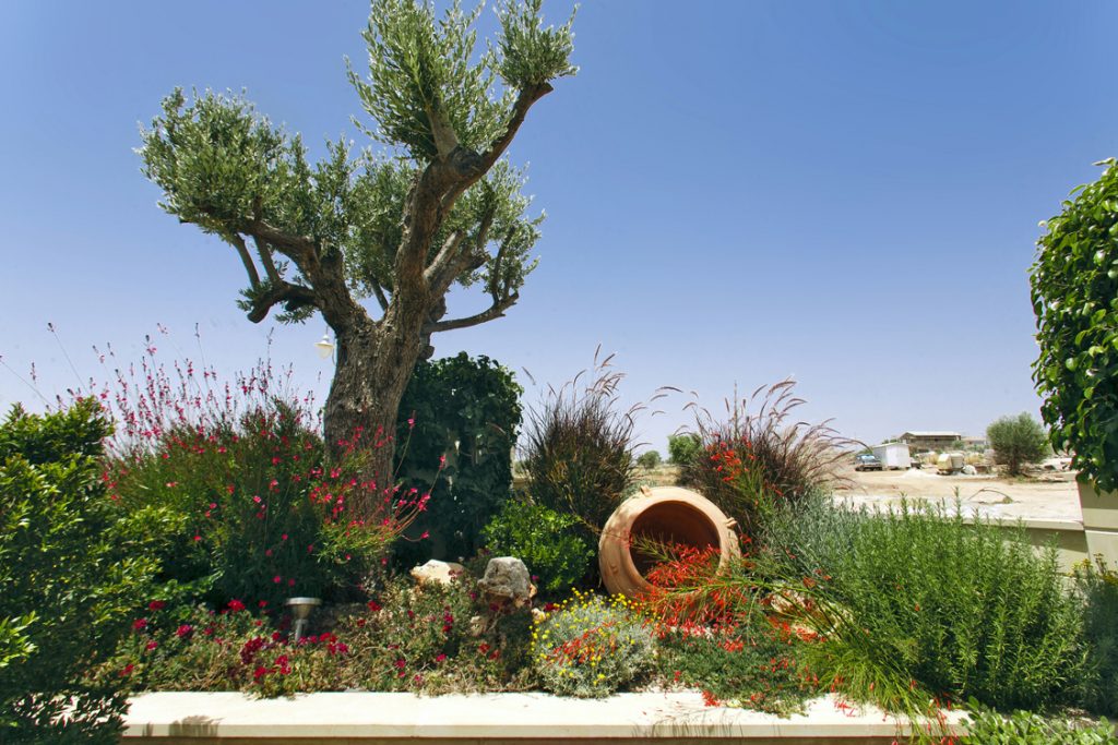 Green Forest - Cyprus' leading landscaping company - pots 1 2
