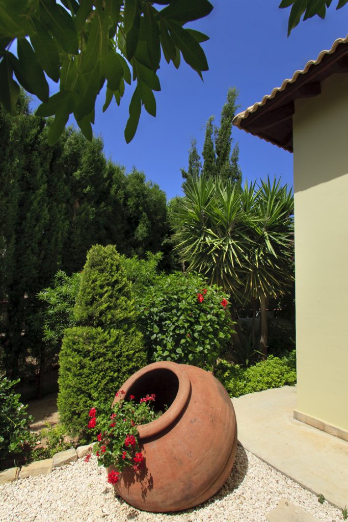 Green Forest - Cyprus' leading landscaping company - pots 11