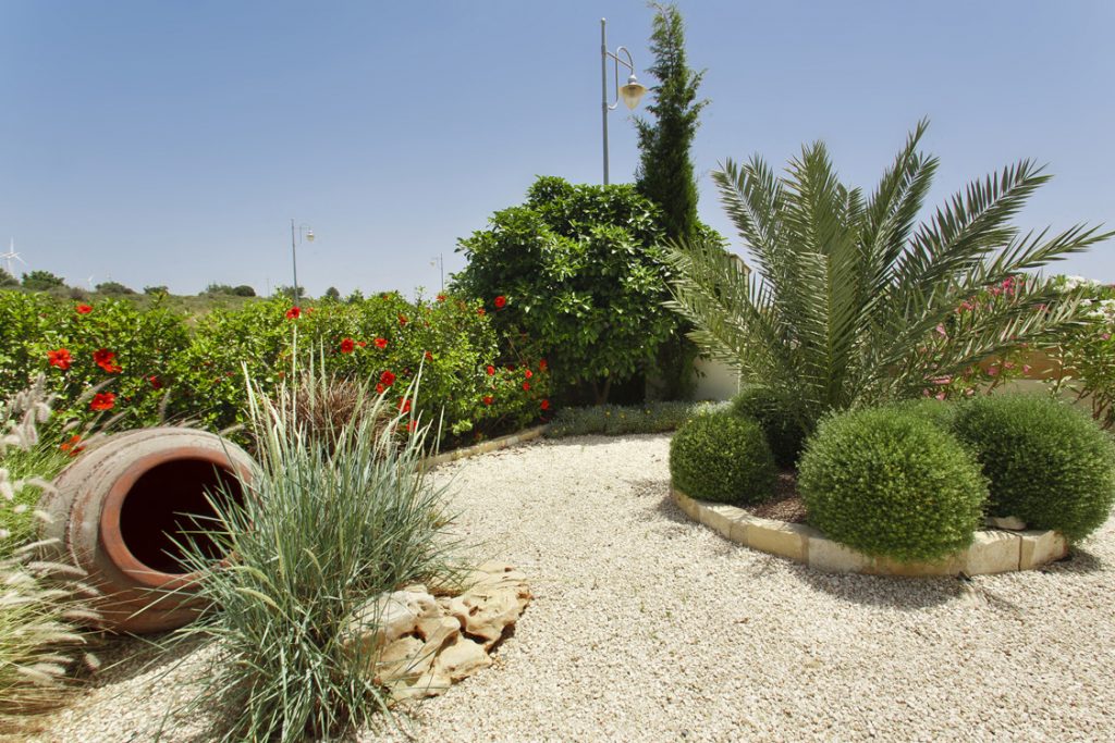 Green Forest - Cyprus' leading landscaping company - pots 14 2