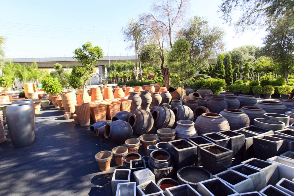 Green Forest - Cyprus' leading landscaping company - pots 17 1