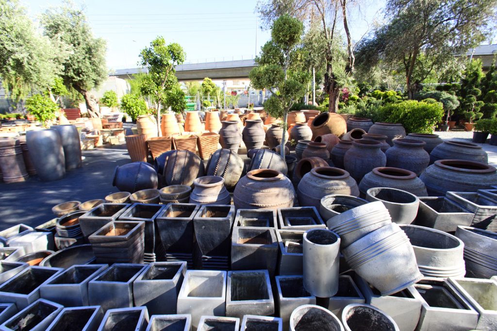 Green Forest - Cyprus' leading landscaping company - pots 18 2
