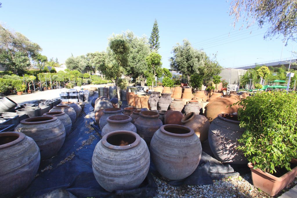 Green Forest - Cyprus' leading landscaping company - pots 19 2