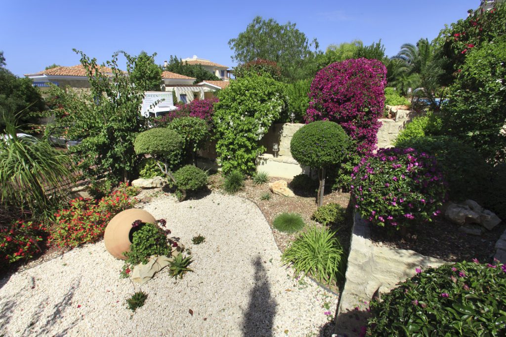 Green Forest - Cyprus' leading landscaping company - pots 2 2