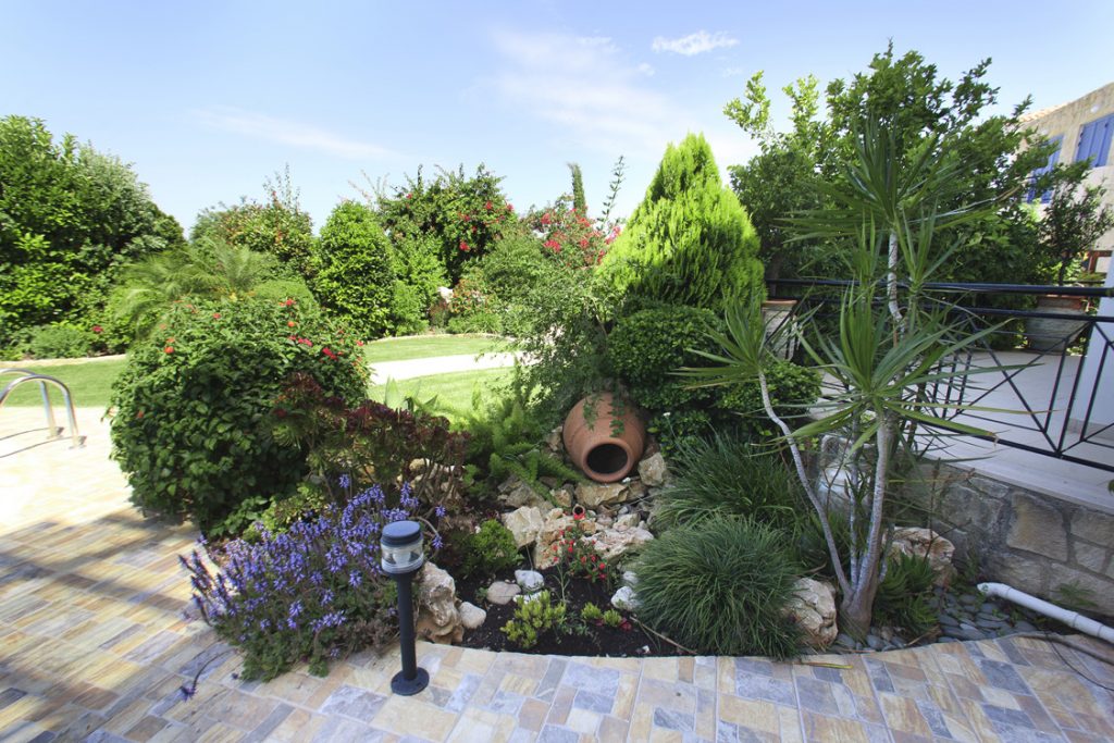 Green Forest - Cyprus' leading landscaping company - pots 3 1