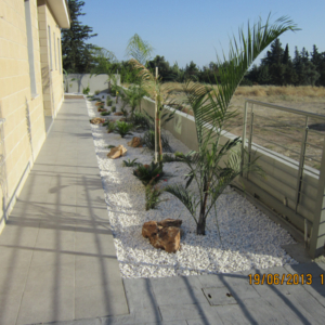 Green Forest - Cyprus' leading landscaping company - project 004 1