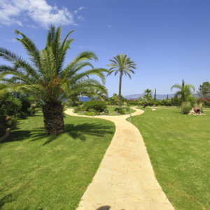 Green Forest - Cyprus' leading landscaping company - project 008 1 2
