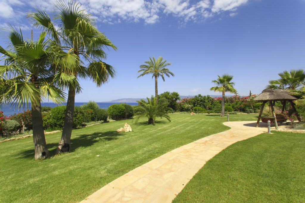 Green Forest - Cyprus' leading landscaping company - project 008 15 2