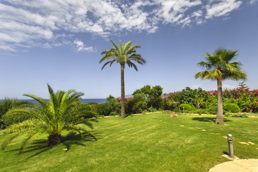 Green Forest - Cyprus' leading landscaping company - project 008 17 2