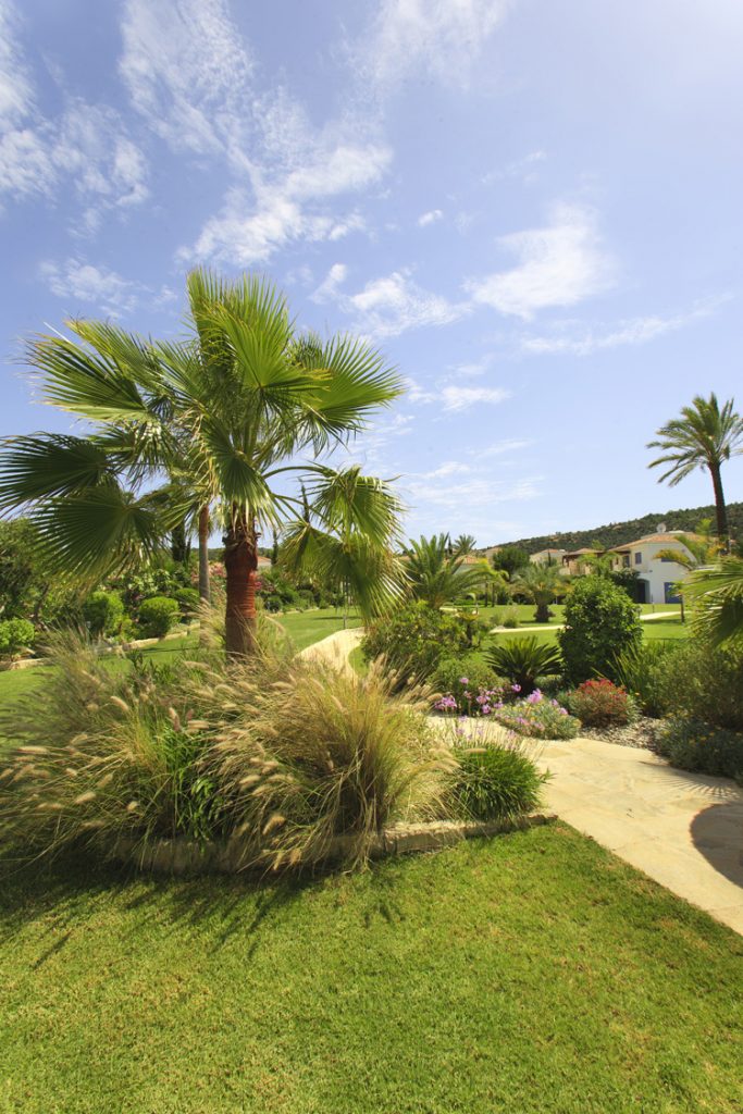 Green Forest - Cyprus' leading landscaping company - project 008 19