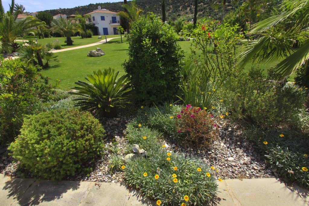 Green Forest - Cyprus' leading landscaping company - project 008 21 2