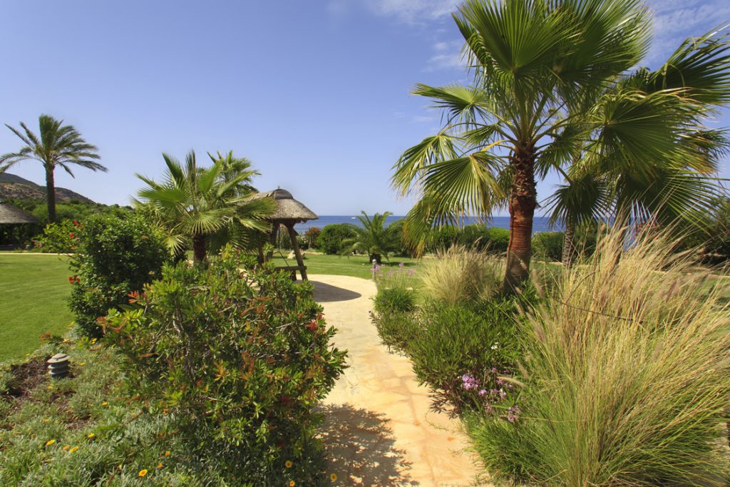 Green Forest - Cyprus' leading landscaping company - project 008 23 2