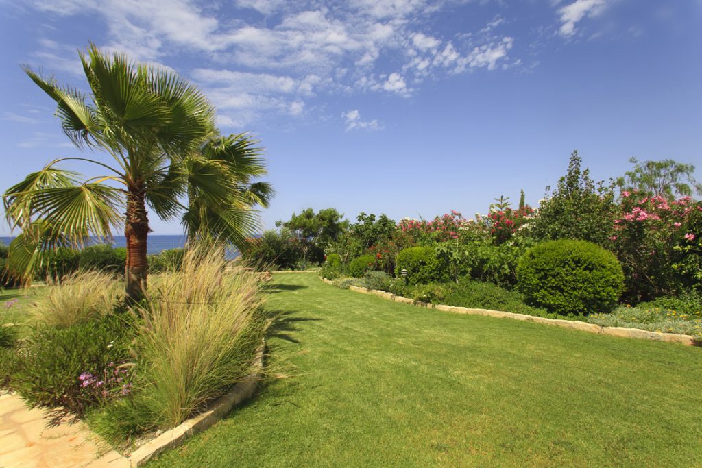 Green Forest - Cyprus' leading landscaping company - project 008 24 1