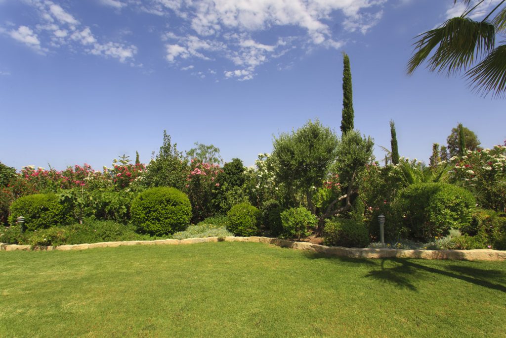 Green Forest - Cyprus' leading landscaping company - project 008 25 1